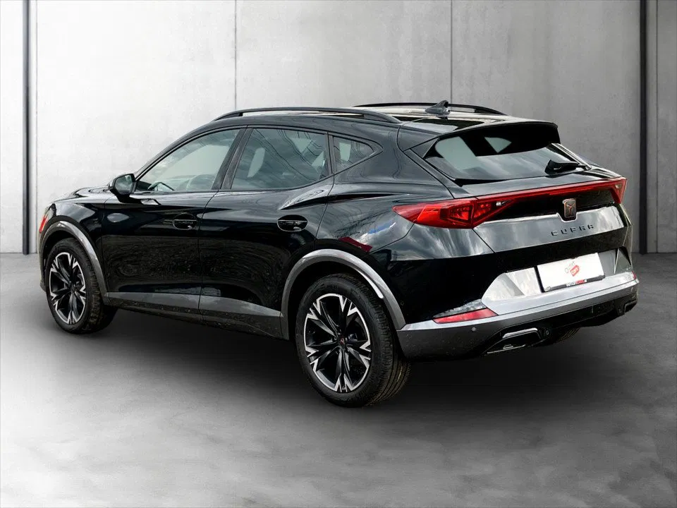 Cupra Formentor 2.0 TDI 4Drive | Bild 4 von 25