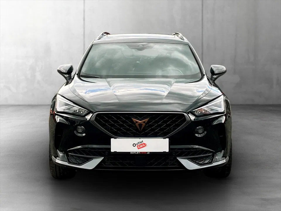 Cupra Formentor 2.0 TDI 4Drive | Bild 5 von 25