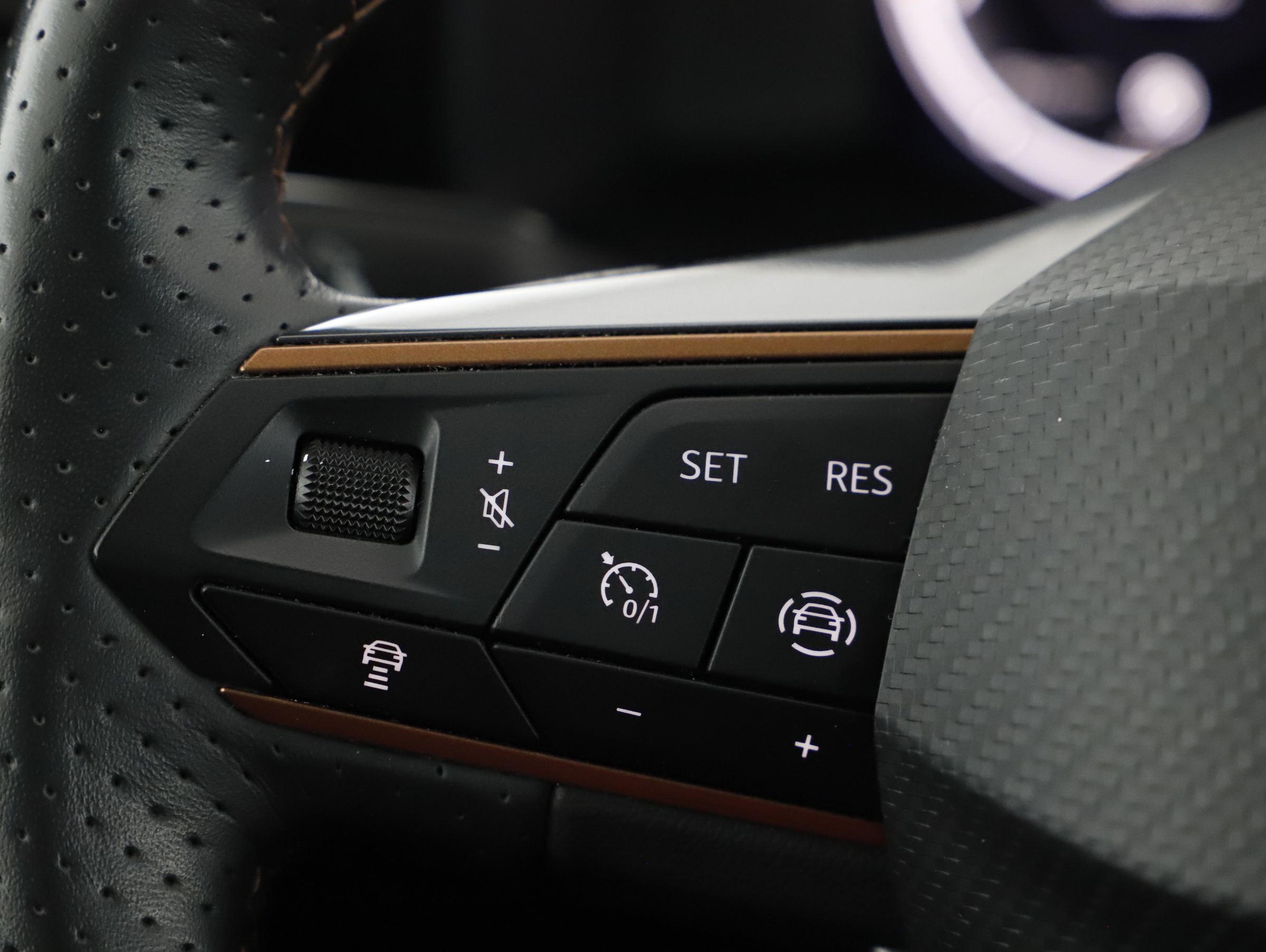 Cupra Formentor 2.0 TDI | Bild 11 von 21