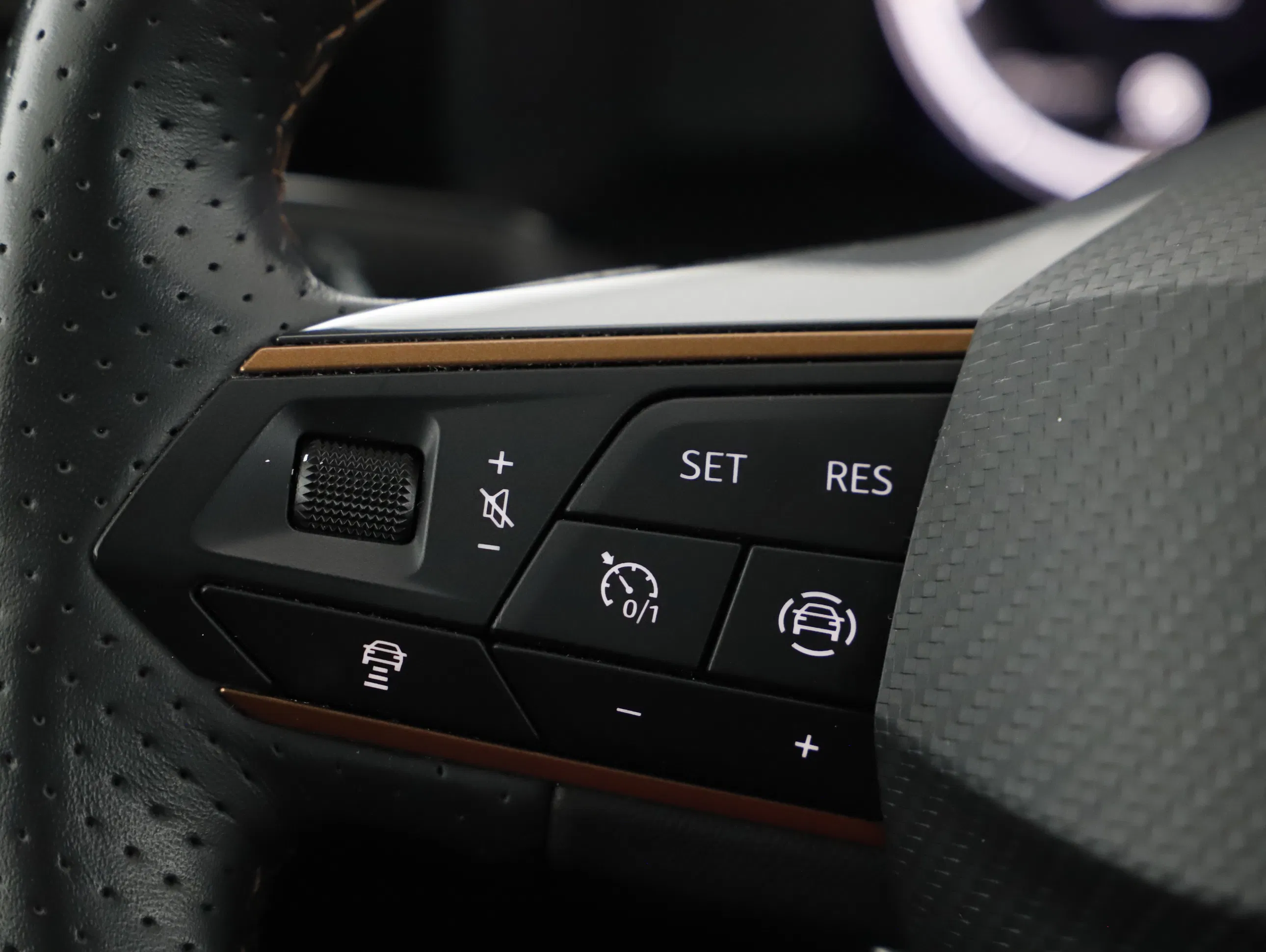 Cupra Formentor 2.0 TDI | Bild 11 von 21