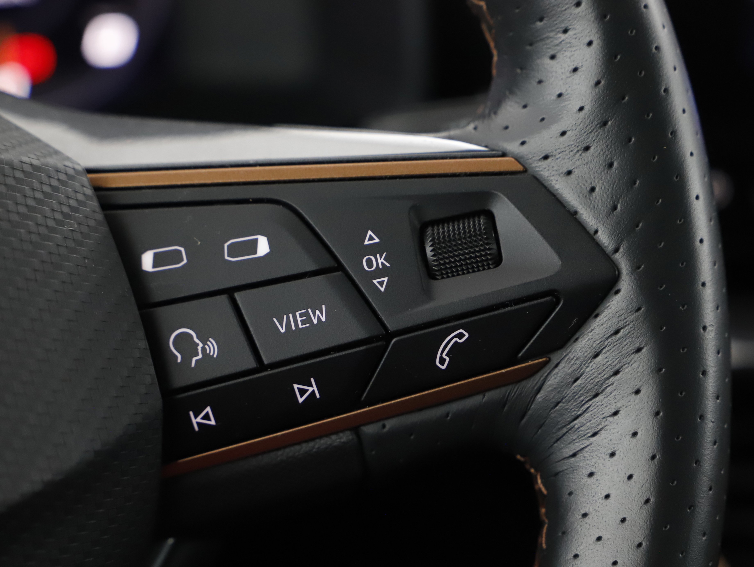 Cupra Formentor 2.0 TDI | Bild 12 von 21