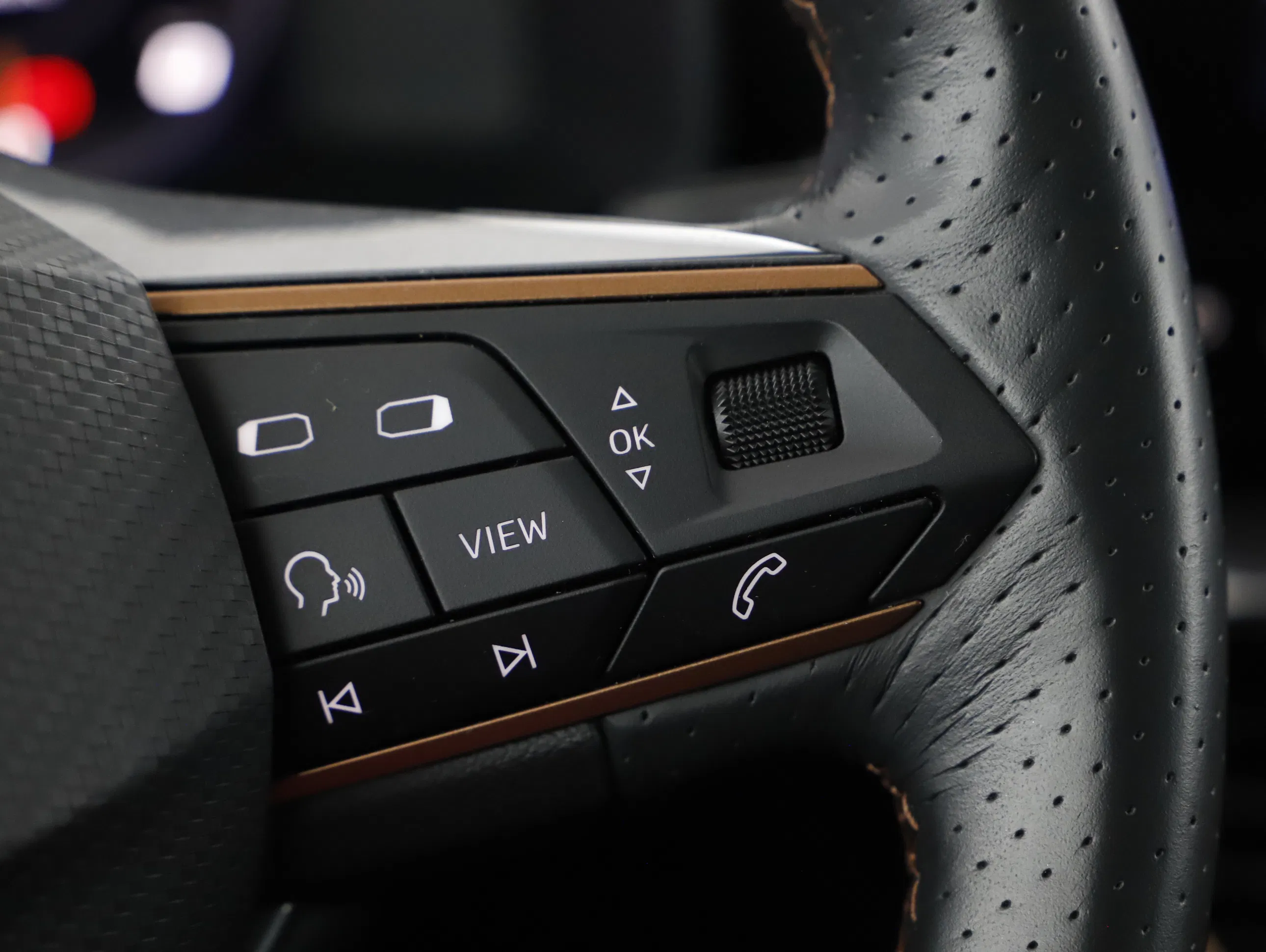 Cupra Formentor 2.0 TDI | Bild 12 von 21