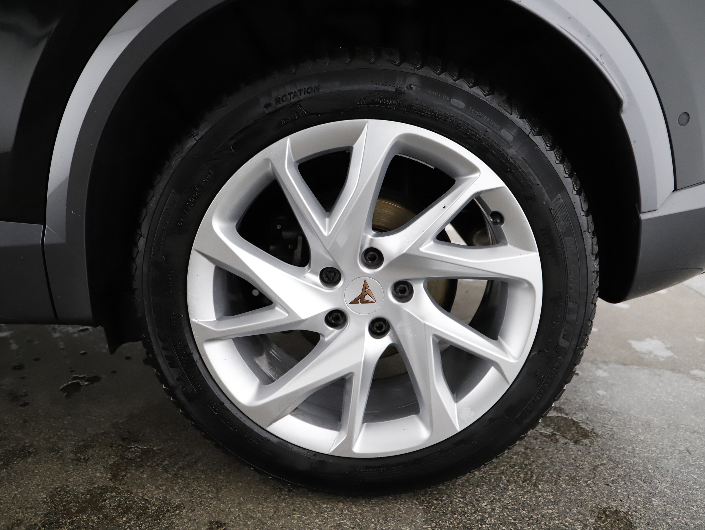 Cupra Formentor 2.0 TDI | Bild 17 von 21