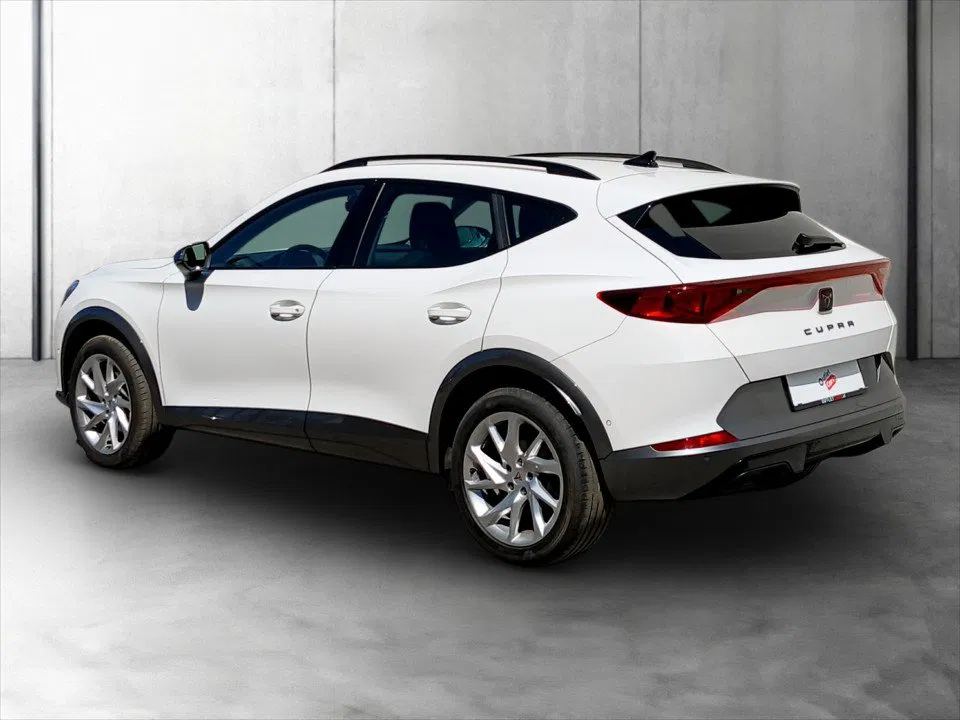 Cupra Formentor 2.0 TDI 4Drive | Bild 4 von 24