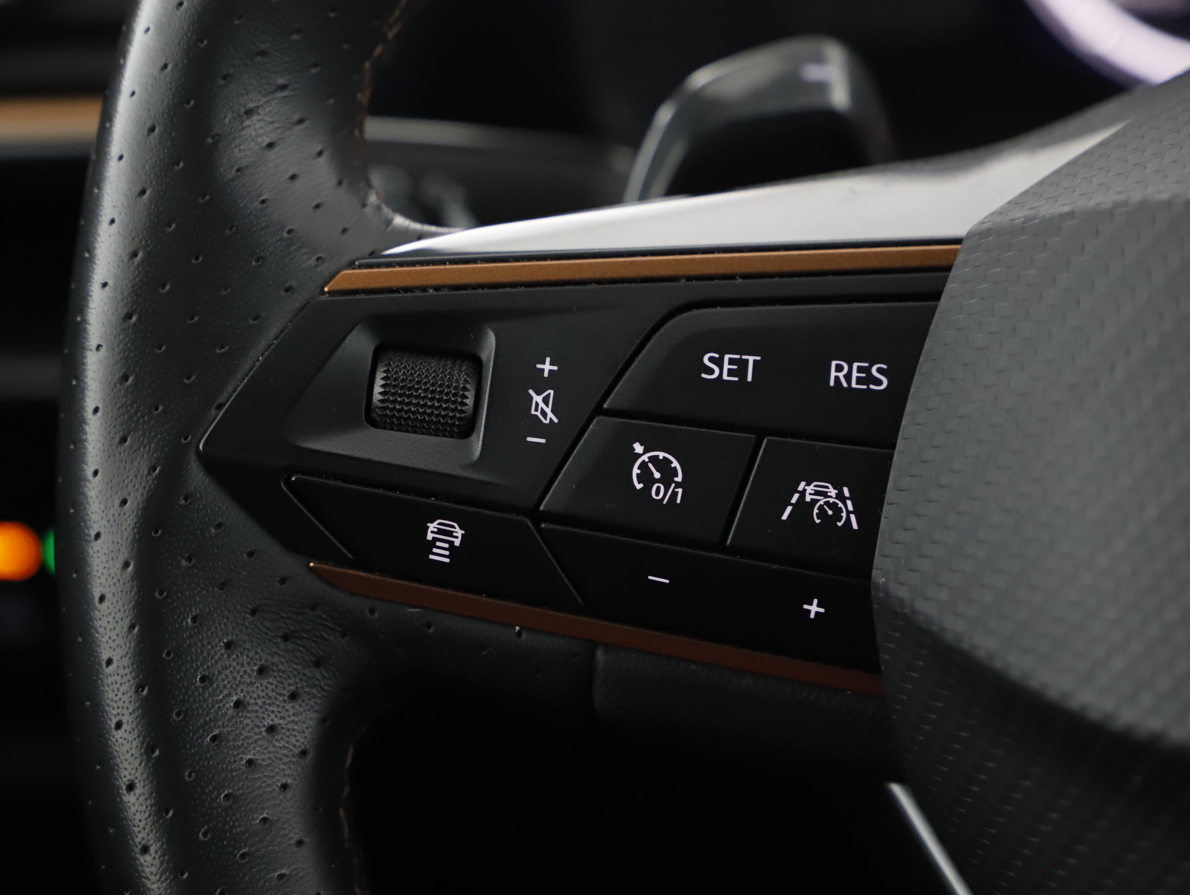 Cupra Formentor 2.0 TDI 4Drive | Bild 11 von 24