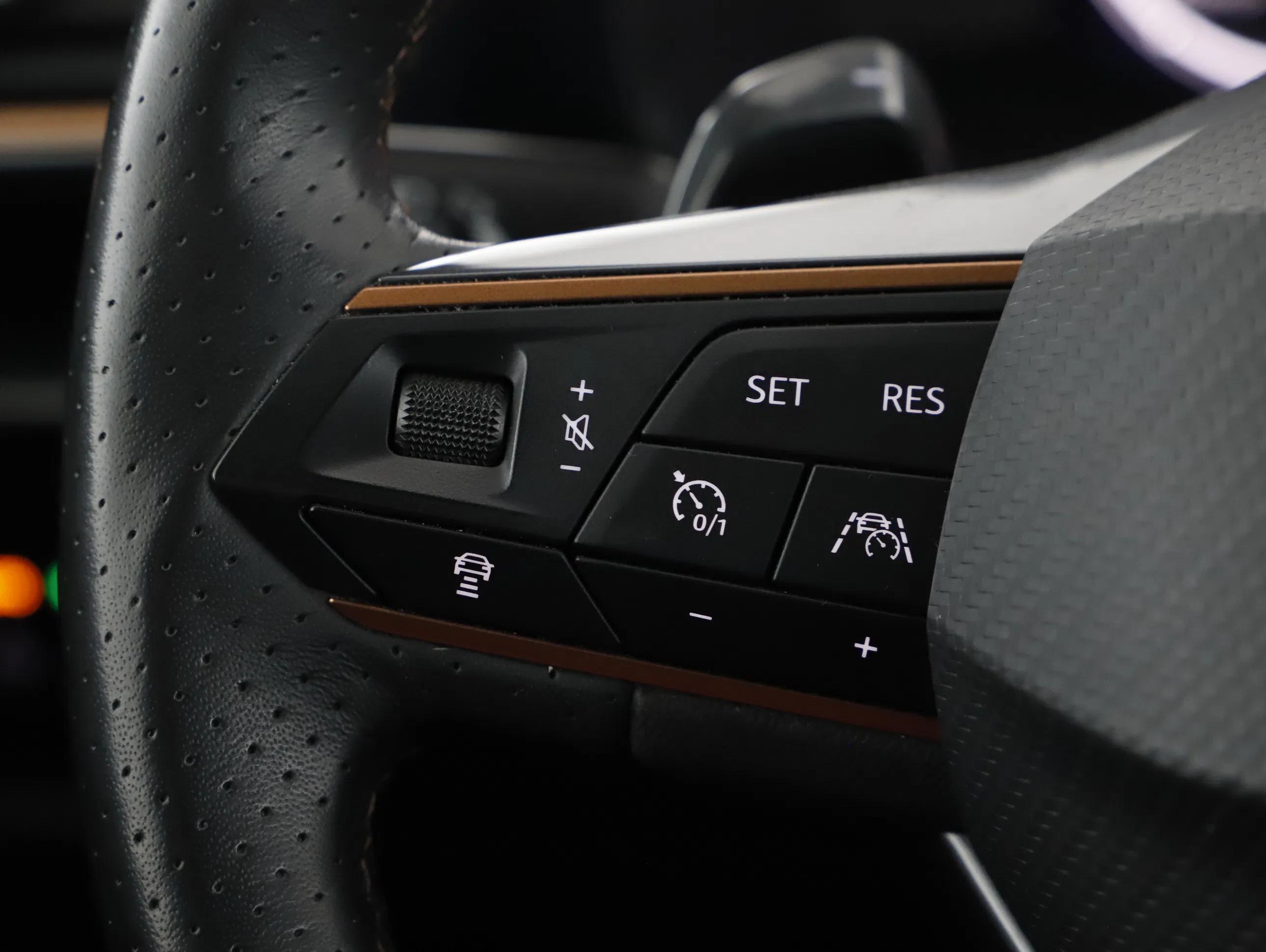 Cupra Formentor 2.0 TDI 4Drive | Bild 11 von 24
