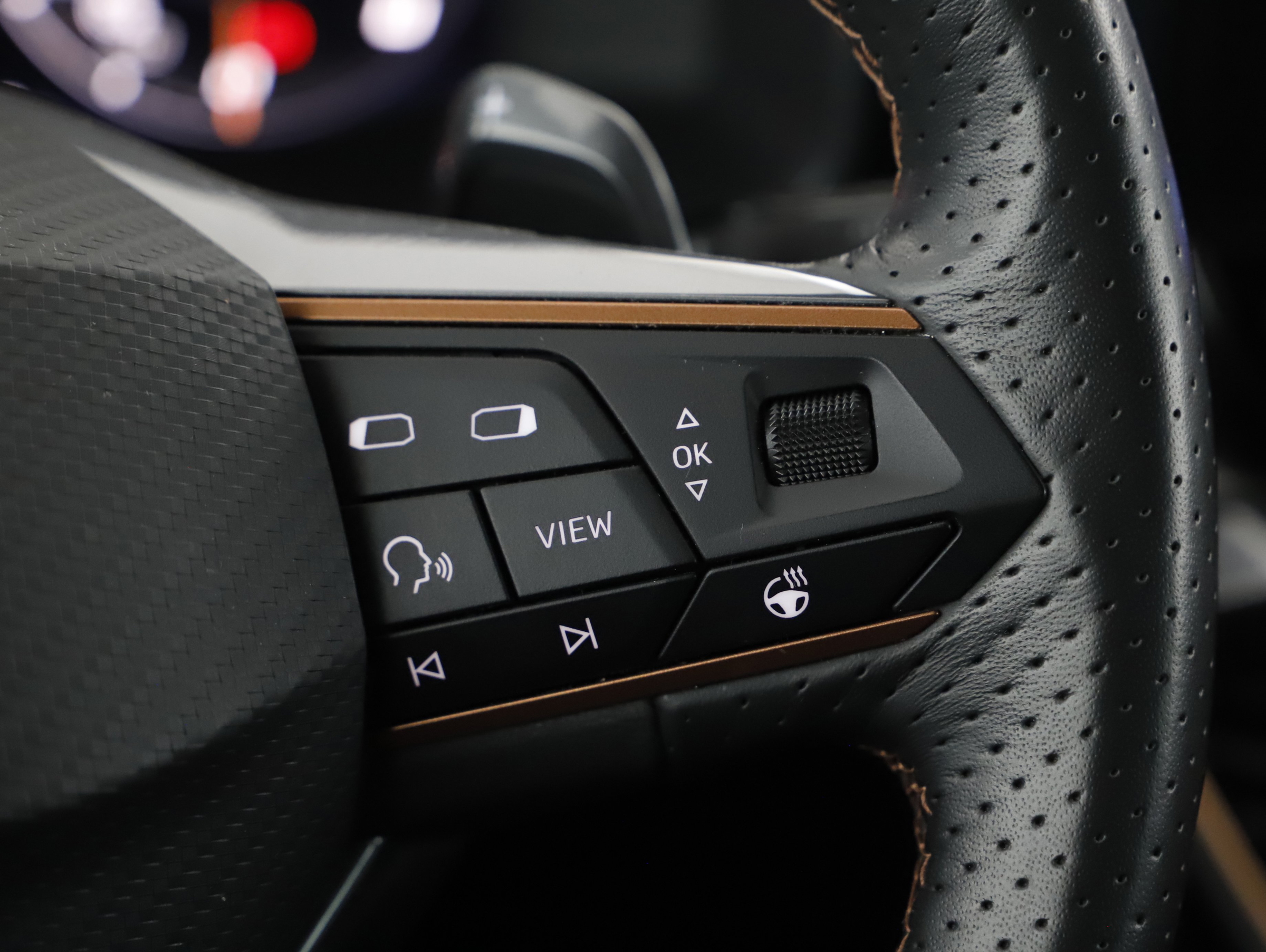 Cupra Formentor 2.0 TDI 4Drive | Bild 12 von 24