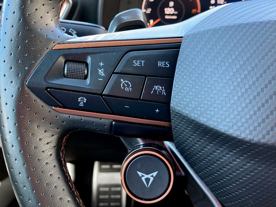 Cupra Formentor 2.0 TSI 4Drive VZ | Bild 23 von 30