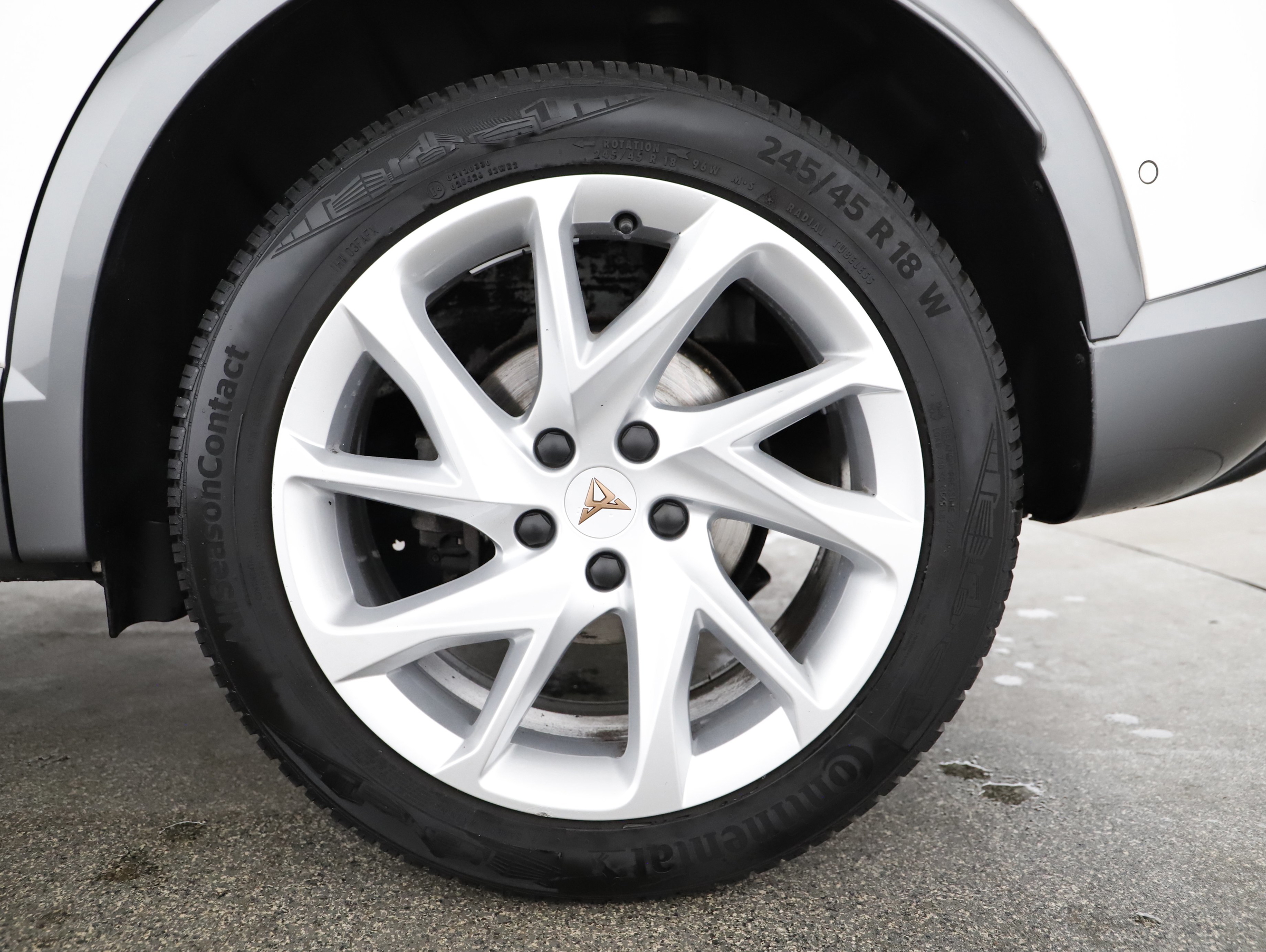 Cupra Formentor 2.0 TDI 4Drive | Bild 21 von 31