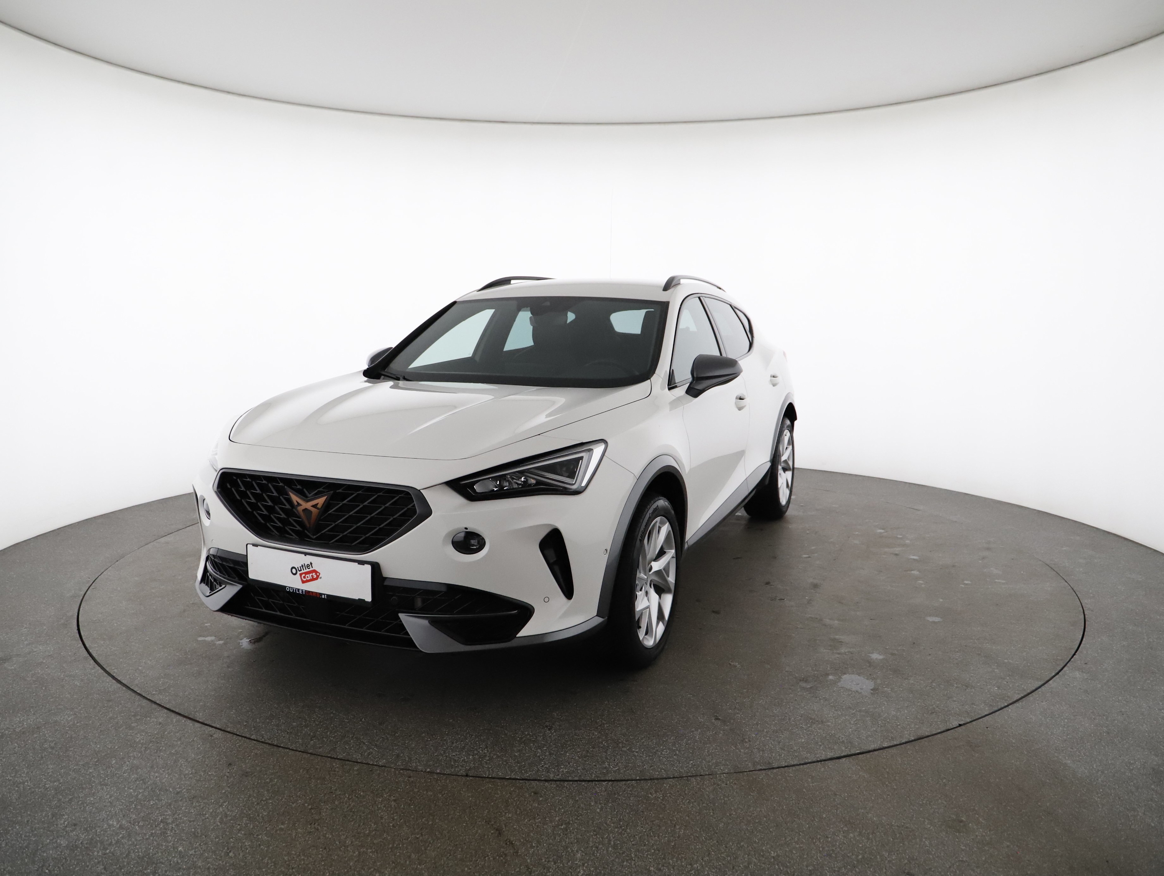 Cupra Formentor 2.0 TDI 4Drive | Bild 24 von 31