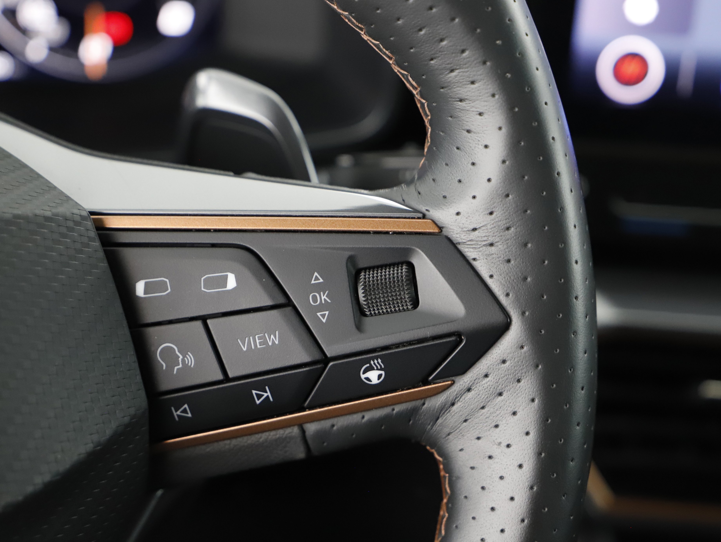 Cupra Formentor 2.0 TDI 4Drive | Bild 8 von 31