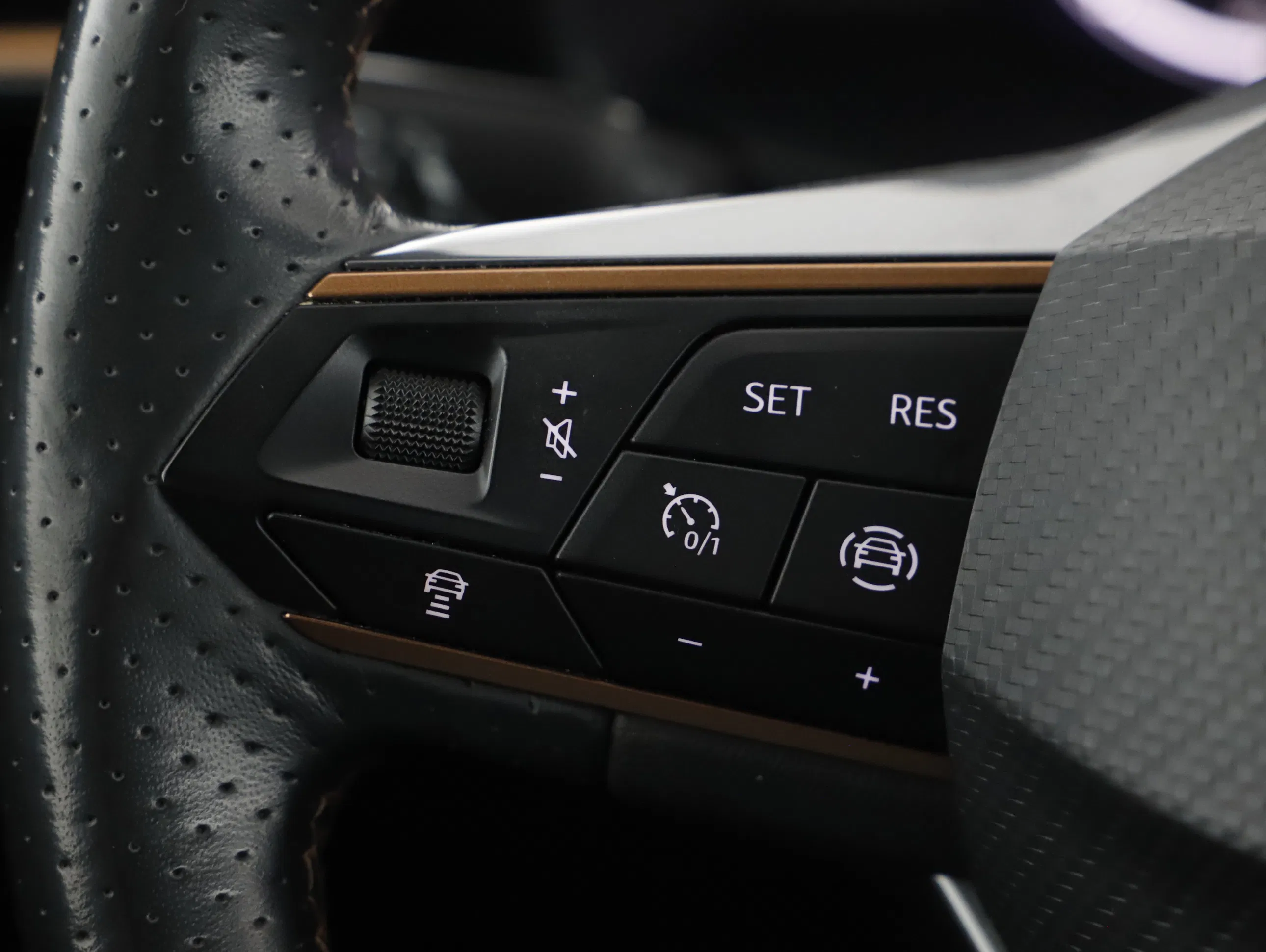 Cupra Formentor 2.0 TDI | Bild 16 von 21