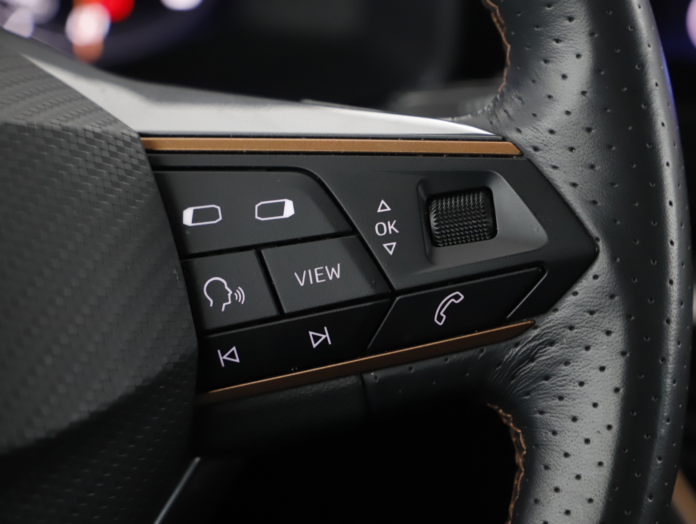 Cupra Formentor 2.0 TDI | Bild 17 von 21