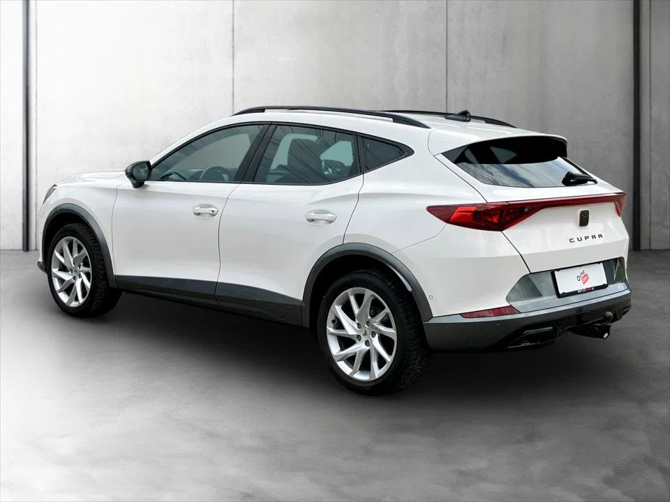 Cupra Formentor 2.0 TDI | Bild 4 von 22