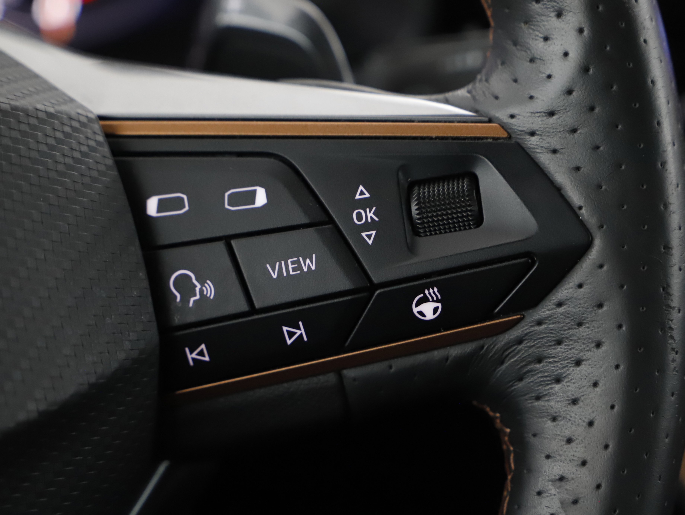 Cupra Formentor 2.0 TDI 4Drive | Bild 12 von 21