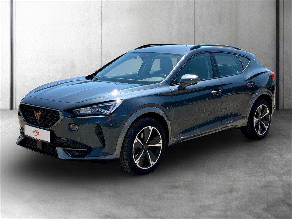 Bild eines Cupra Formentor 2.0 TDI 4Drive