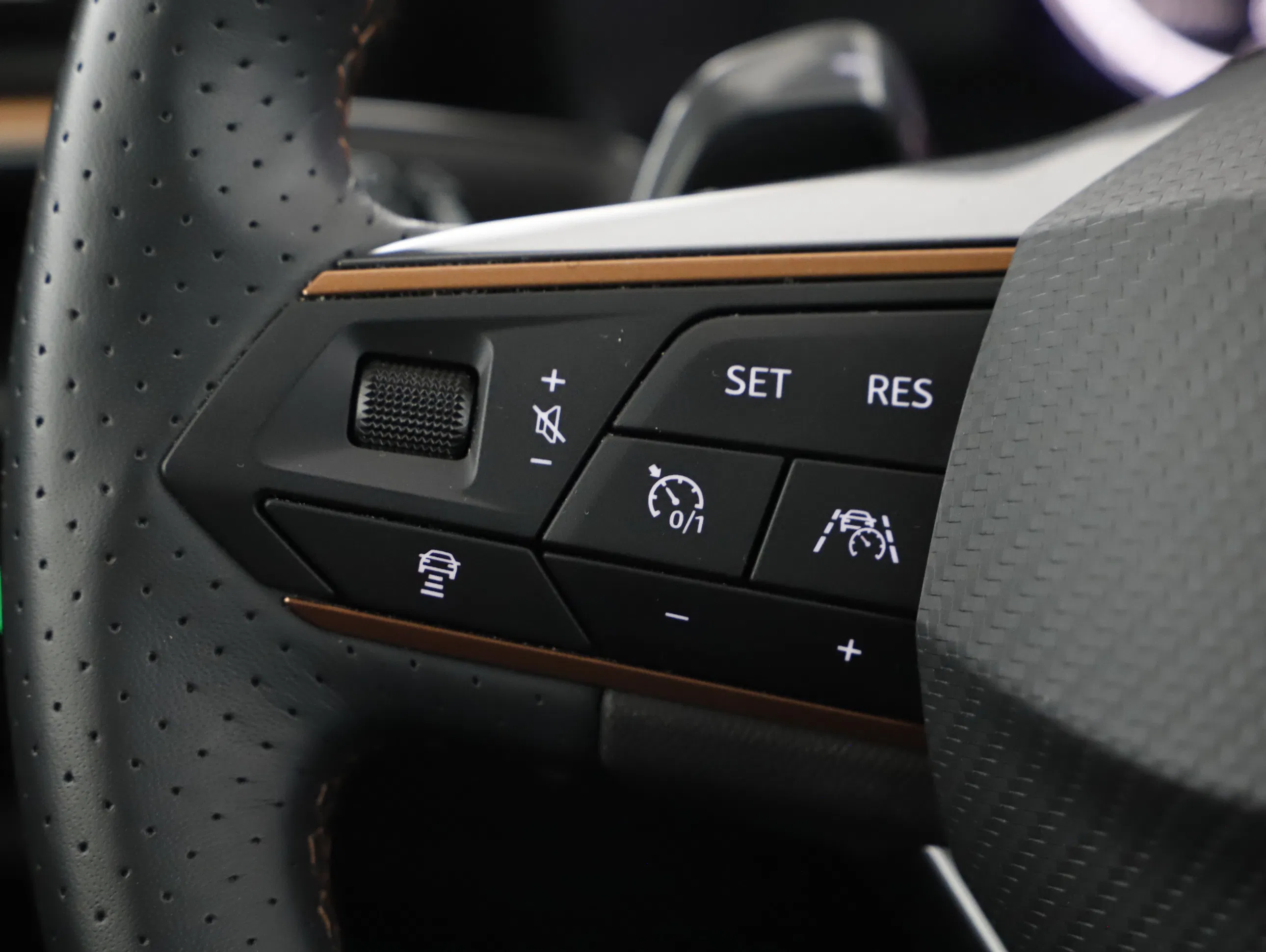 Cupra Formentor 2.0 TDI 4Drive | Bild 11 von 22