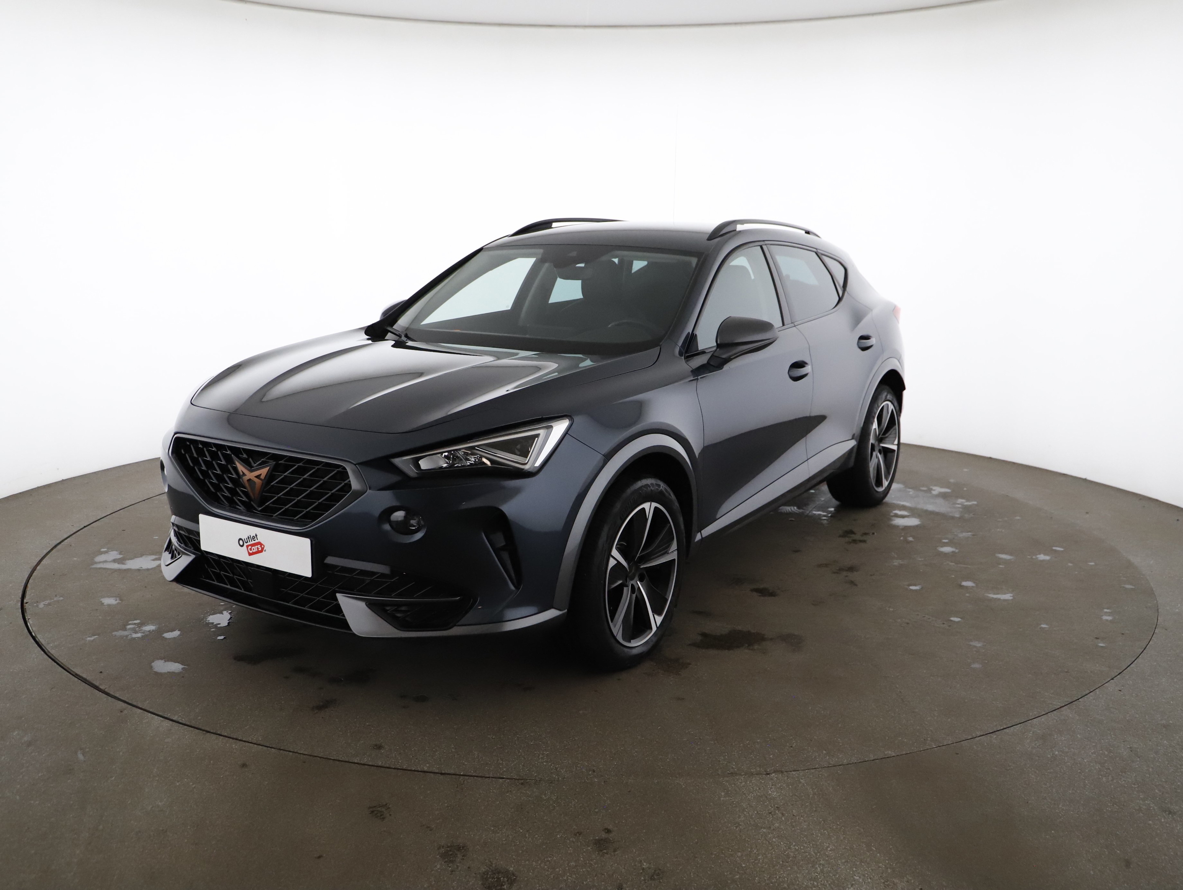 Cupra Formentor 2.0 TDI 4Drive | Bild 19 von 22