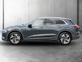 Audi e-tron 55 quattro Basis | Thumbnail 3 von 25